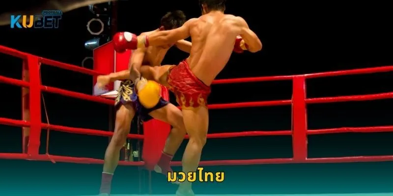 มวยไทย ศิลปะแห่งการต่อสู้ – เดิมพันอย่างมั่นใจที่ Kubet